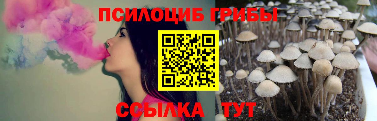Псилоцибиновые грибы MAGIC MUSHROOMS Чита